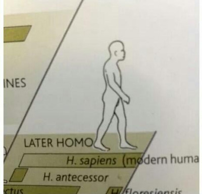 later homo.jpg