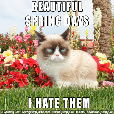 SPRING-BEAUTIFUL.jpg