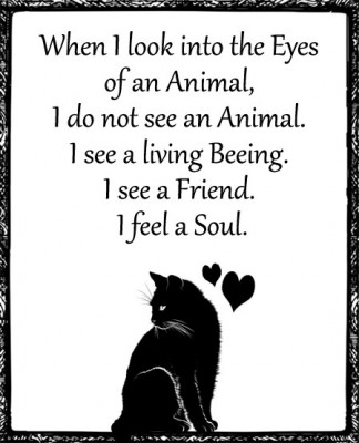 Animals.jpg (87.48 KiB) 2686 mal betrachtet Animals.jpg