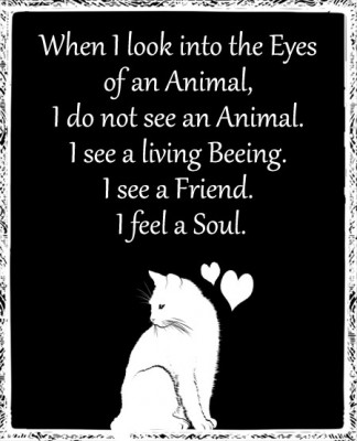 Animals2.jpg (87.5 KiB) 3023 mal betrachtet Animals2.jpg