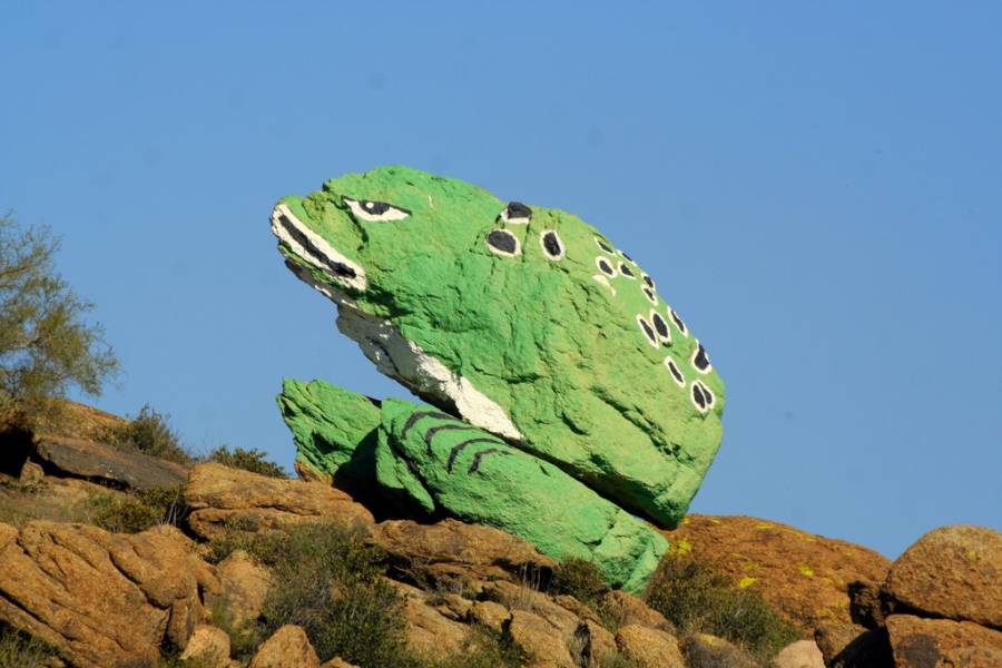 frog_rock.jpg